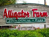 Things To Do St. Augustine Alligator Farm